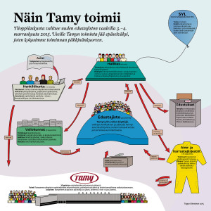 Tämä kaavio kertoo yksinkertaistetusti, miten Tamy ja sen sidosryhmät toimivat.